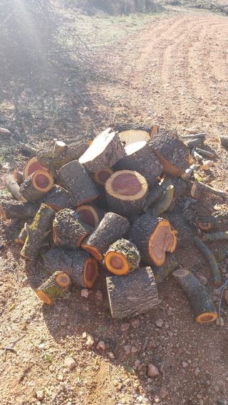 Leña de Oliva - Seca para calderas barbacoa, ect