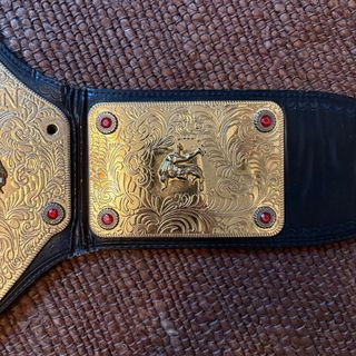 Cinturón Campeonato Mundial Peso Pesado WWE