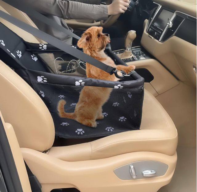 Asiento coche mascota 