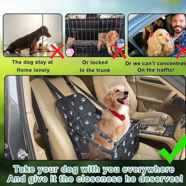 Asiento coche mascota 