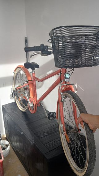Bicicleta