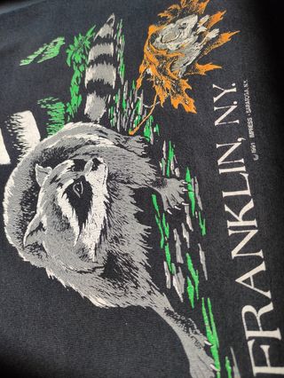 Vintage T-Shirt Franklin, NY 1991 Rare Screen Star