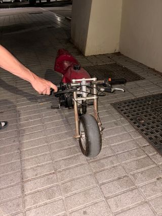 Moto infantil - Mini moto