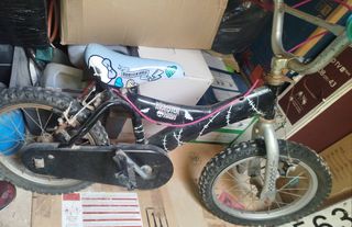 Bicicleta niña Monster High