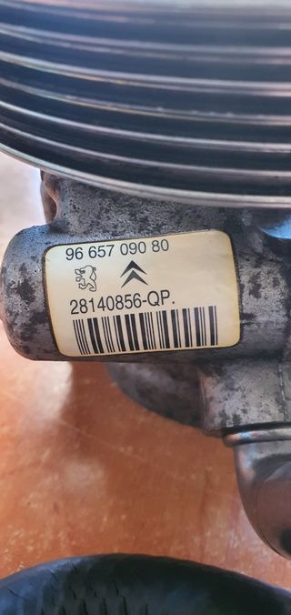 Bomba dirección asistida Citroën Xsara Picasso