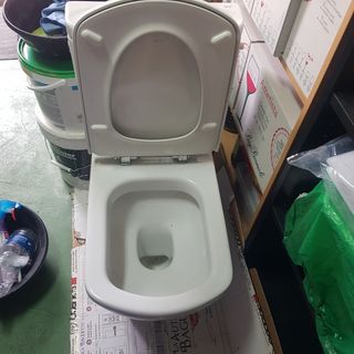 Inodoro porcelana blanco