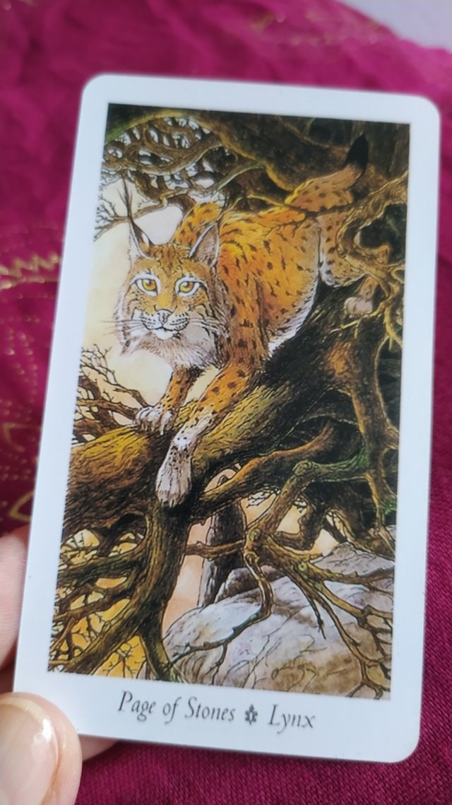 The Will Wood Tarot – Versión Pocket