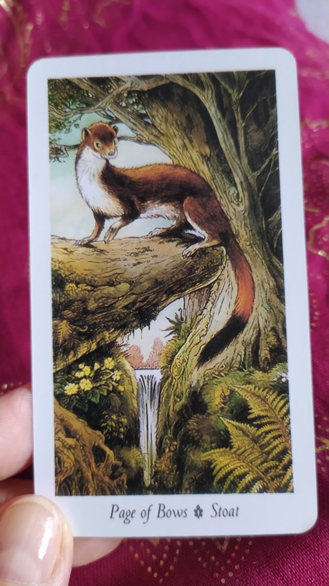 The Will Wood Tarot – Versión Pocket