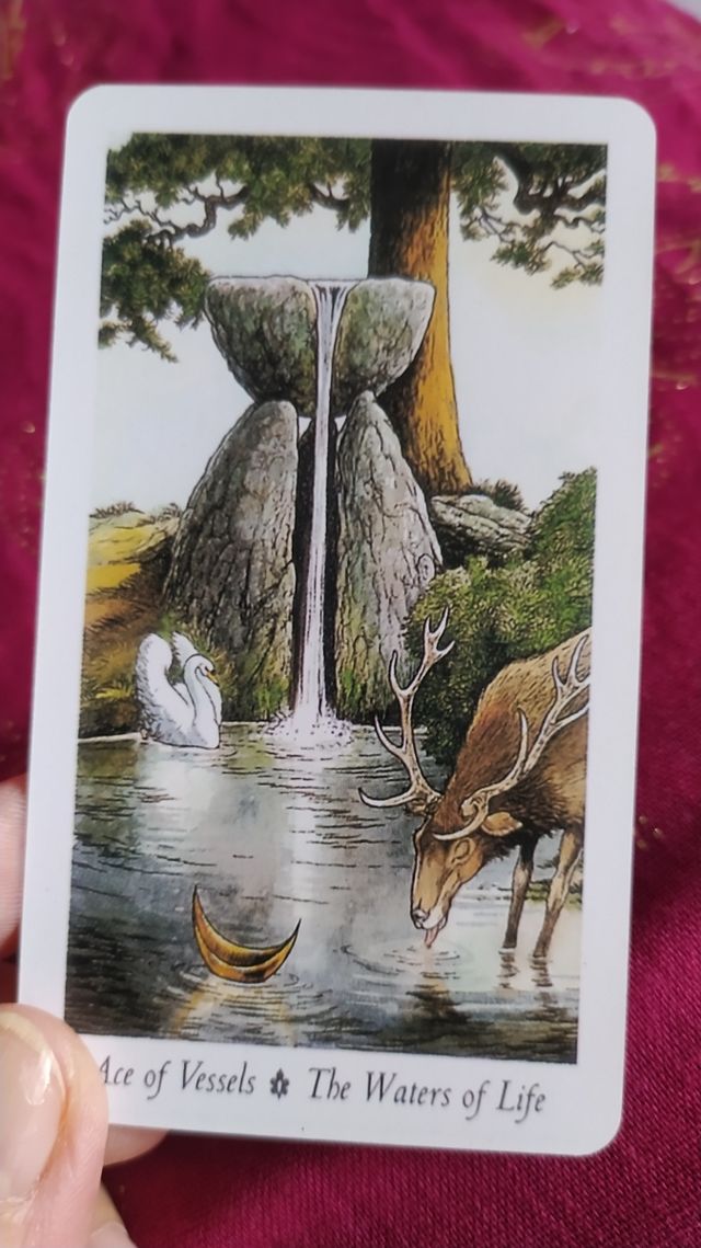 The Will Wood Tarot – Versión Pocket