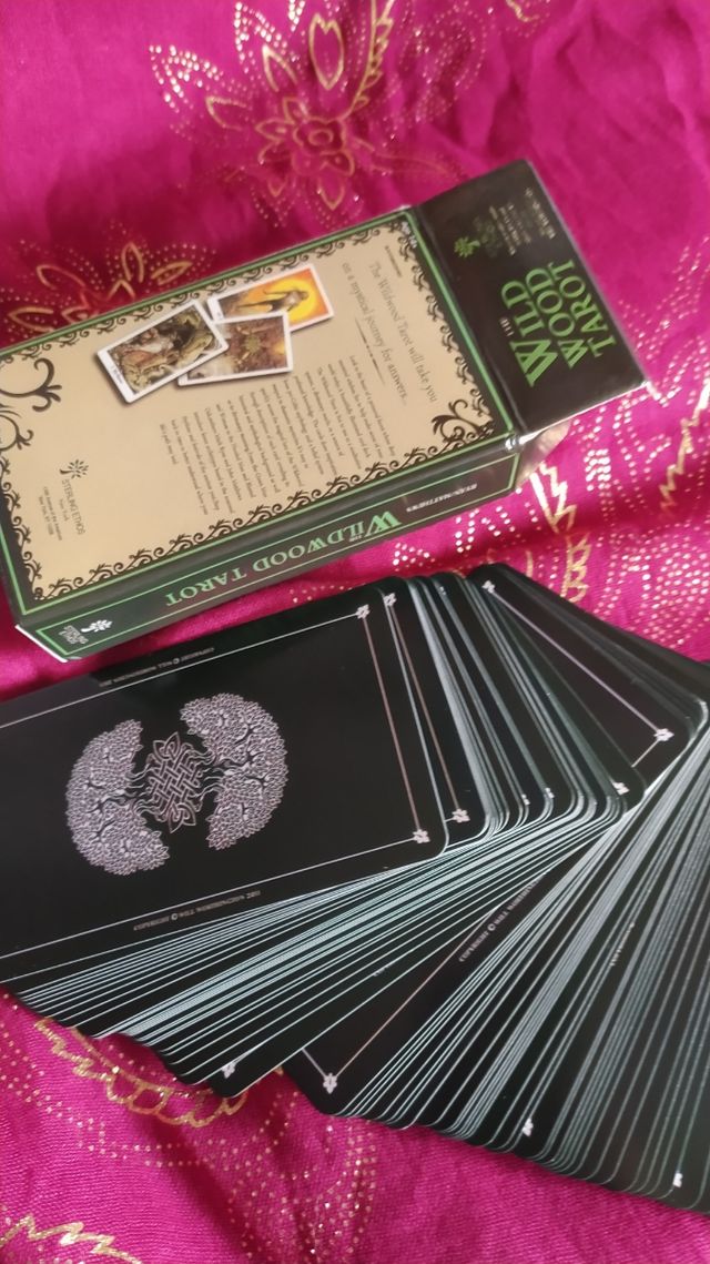 The Will Wood Tarot – Versión Pocket