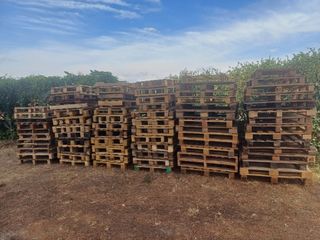 120 Palets madera usados