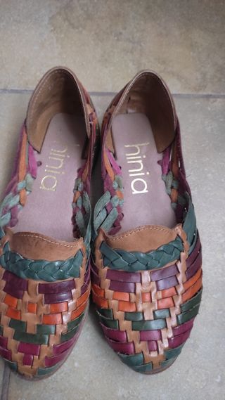 Bailarinas Hinia multicolor  
