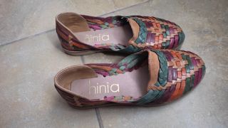 Bailarinas Hinia multicolor  
