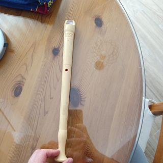 Flauta dulce escolar