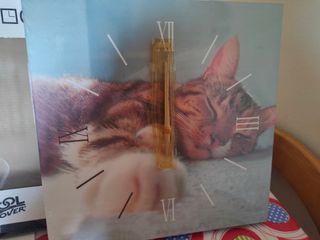 Orologio da parete gatto - Pool Over/Quartz