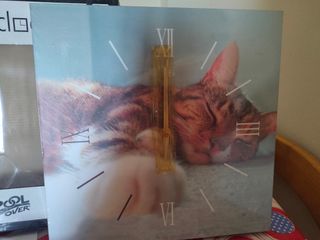 Orologio da parete gatto - Pool Over/Quartz