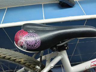 Bicicleta de montaña 