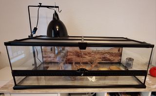 Terrario Exo Terra 90x45x30