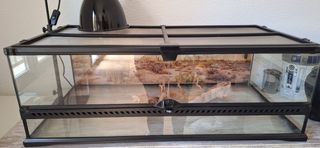 Terrario Exo Terra 90x45x30