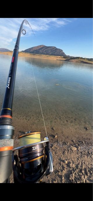 Caña + Carrete Daiwa Legalis 
NEGOCIABLE