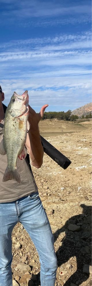 Caña + Carrete Daiwa Legalis 
NEGOCIABLE