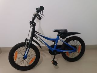 Bicicleta Giant Animator 16" Niño