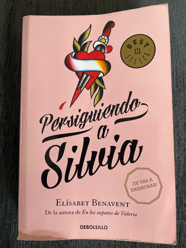 Persiguiendo a Silvia / Chasing Silvia (Silvia ...