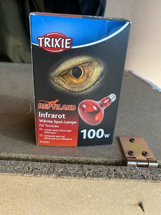 Lampadine per rettili