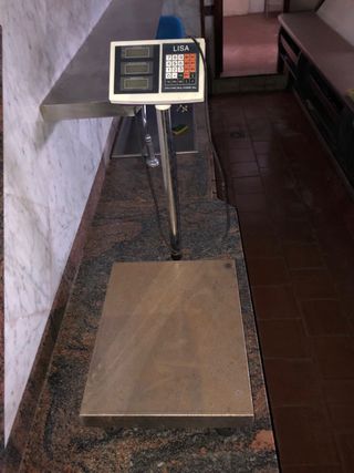 Bilancia bilico elettronico max 300kg