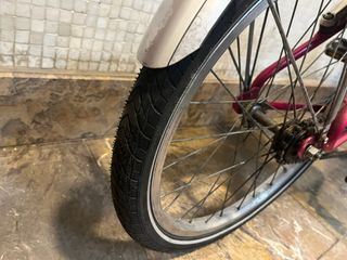 Bicicleta niña 20 pulgadas