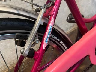 Bicicleta niña 20 pulgadas