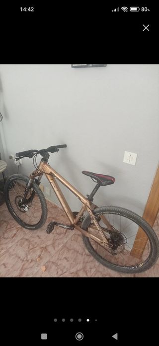 Bicicleta montaña color bronce