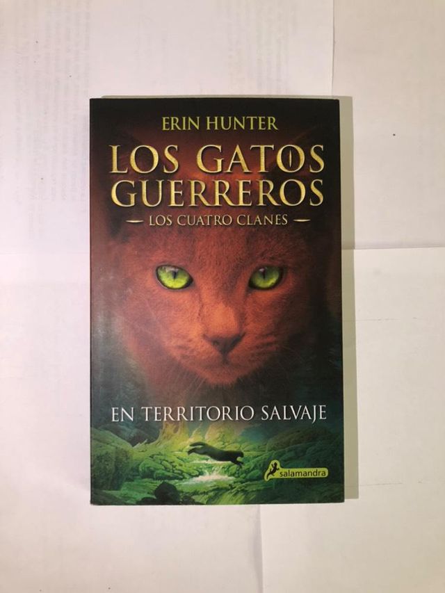 En territorio salvaje / Into the Wild 