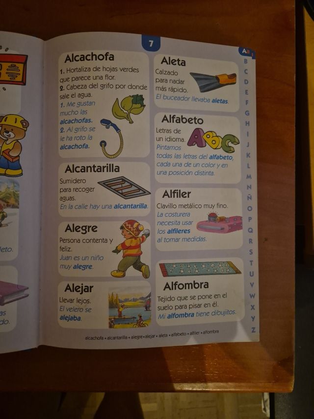 MI PRIMER GRAN DICCIONARIO / PD.