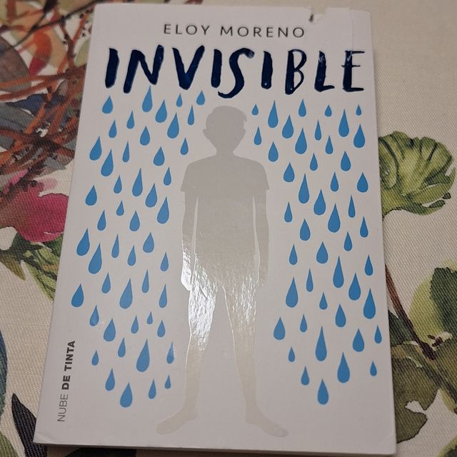 Invisible / Invisible (Spanish Edition)