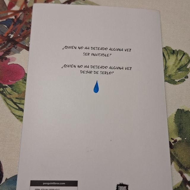 Invisible / Invisible (Spanish Edition)