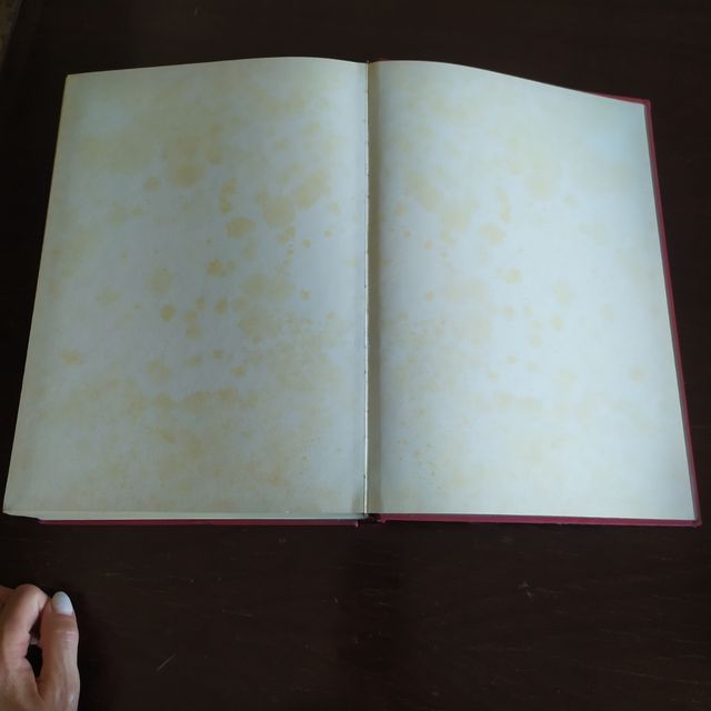 Storia della Sicilia volume secondo