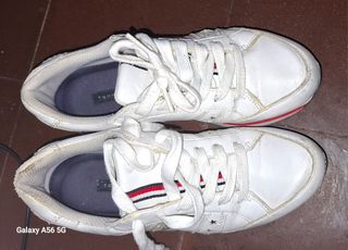 Bambas Hilfiguer blancas