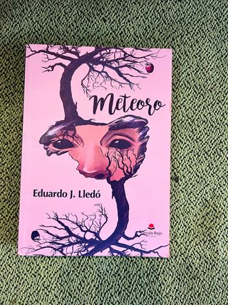 libro meteoro