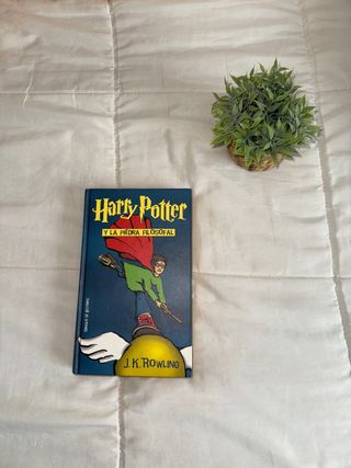 Harry Potter Y La Piedra Filosofal