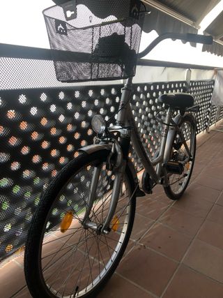 Bicicleta paseo