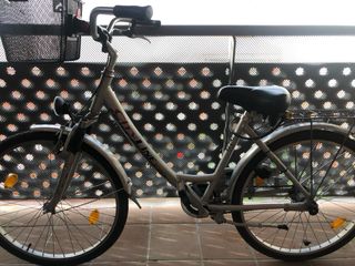 Bicicleta paseo