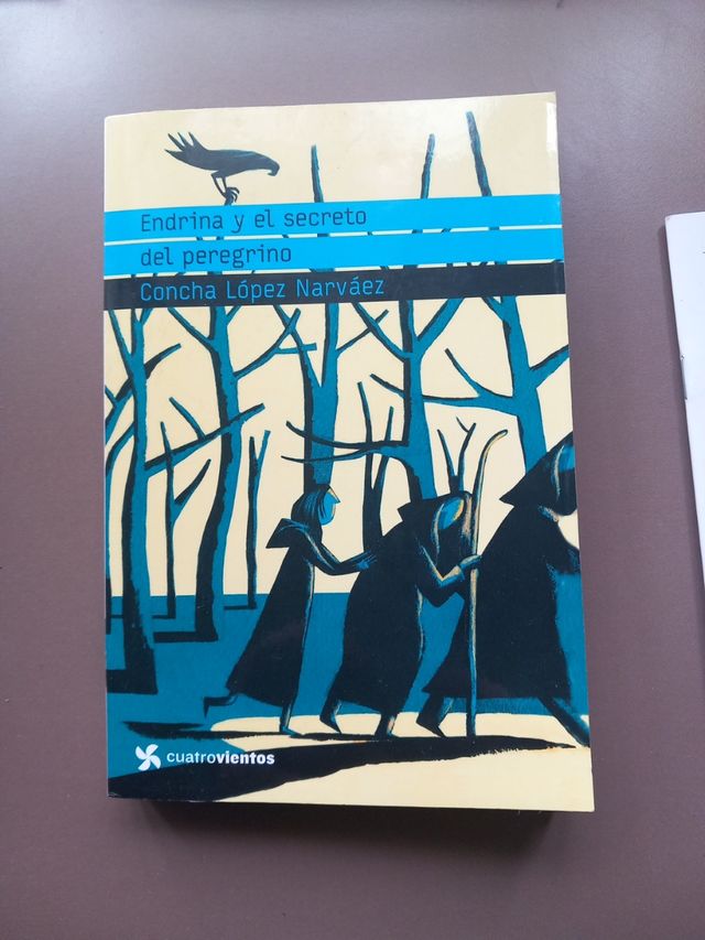 Endrina y el secreto del peregrino