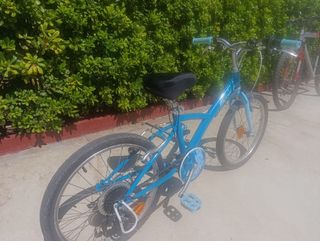 Bicicleta niñ@ 20" azul
