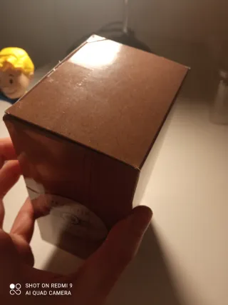 Cabezón Vault Boy Fallout 4