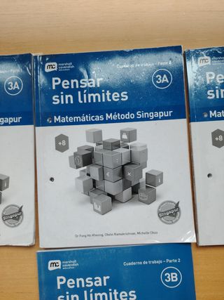 Lote de libros Pensar sin límites matemáticas.