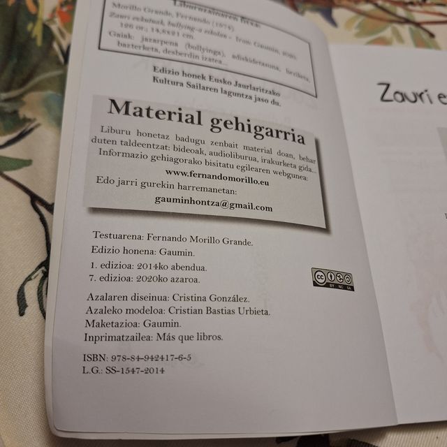 Zauri ezkutuak: bullying-a eskolan