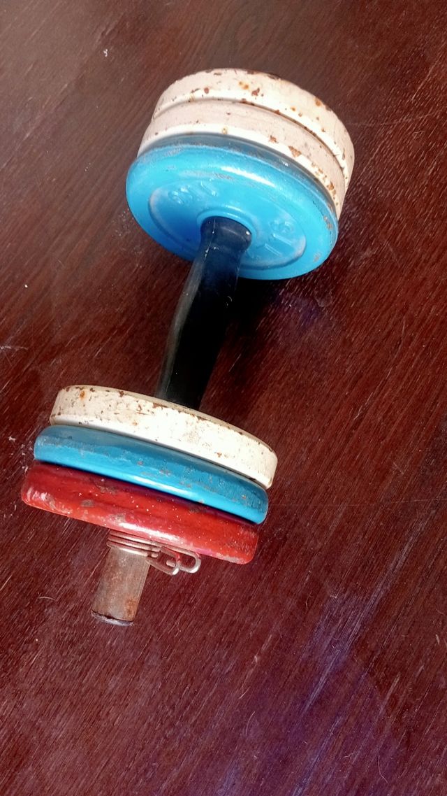 Mancuerna salter con 6 discos de 1kilo