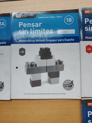 Lote de libros pensar sin límites matemáticas