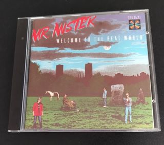 Mr. Mister 